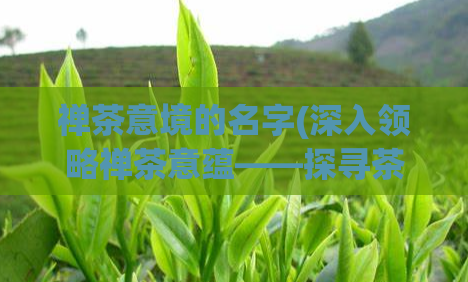 禅茶意境的名字(深入领略禅茶意蕴——探寻茶道的哲学与美学)
