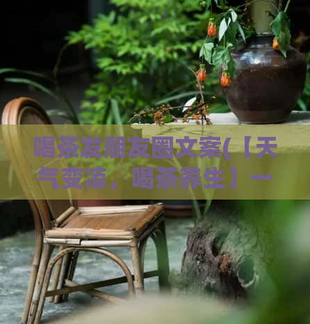 喝茶发朋友圈文案(【天气变凉,喝茶养生】一篇告诉你冬季适合喝哪些茶!)