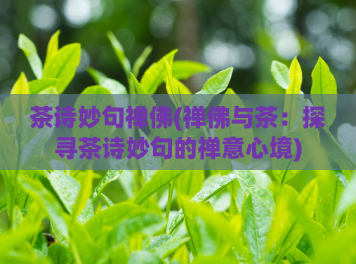 茶诗妙句禅佛(禅佛与茶:探寻茶诗妙句的禅意心境)