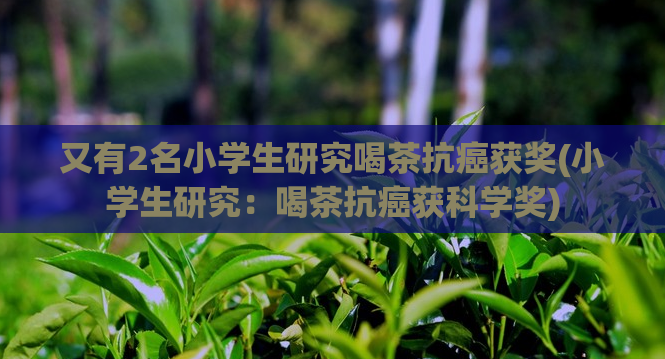 又有2名小学生研究喝茶抗癌获奖(小学生研究：喝茶抗癌获科学奖)