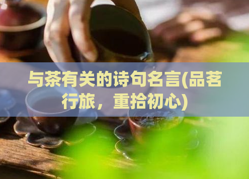 与茶有关的诗句名言(品茗行旅,重拾初心)