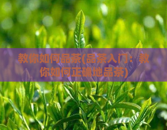 教你如何品茶(品茶入门:教你如何正确地品茶)