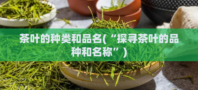 茶叶的种类和品名(“探寻茶叶的品种和名称”)