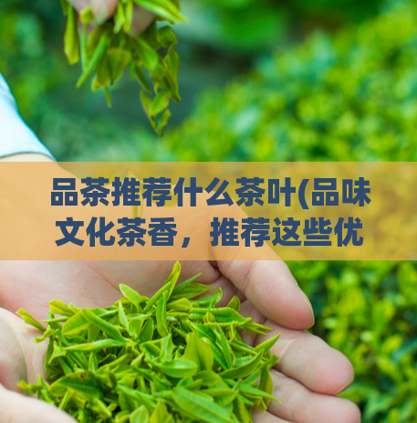 品茶推荐什么茶叶(品味文化茶香，推荐这些优秀的茶叶)