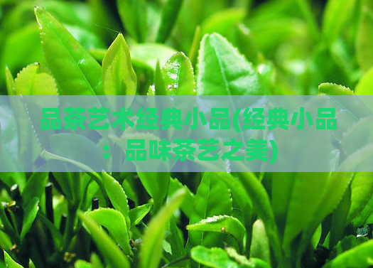 品茶艺术经典小品(经典小品：品味茶艺之美)