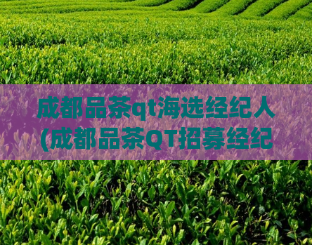 成都品茶qt海选经纪人(成都品茶QT招募经纪人，机会难得！)