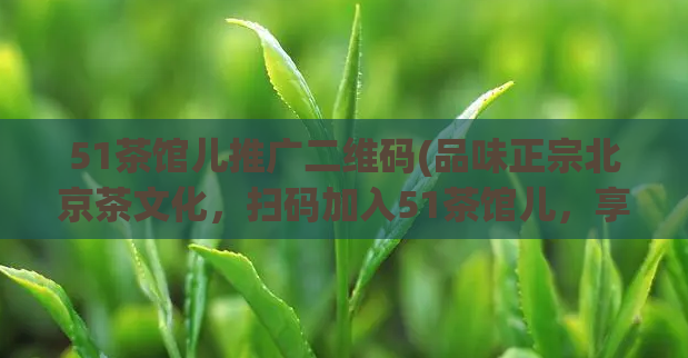 51茶馆儿推广二维码(品味正宗北京茶文化，扫码加入51茶馆儿，享受优惠礼遇)