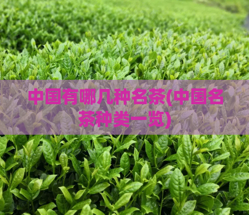 中国有哪几种名茶(中国名茶种类一览)