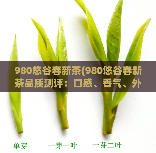 980悠谷春新茶(980悠谷春新茶品质测评：口感、香气、外形、内质全面揭秘)
