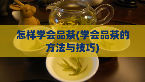 怎样学会品茶(学会品茶的方法与技巧)