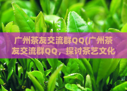 广州茶友交流群QQ(广州茶友交流群QQ，探讨茶艺文化)