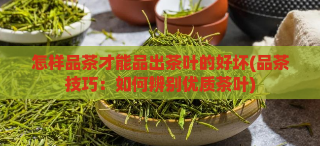 怎样品茶才能品出茶叶的好坏(品茶技巧：如何辨别优质茶叶)