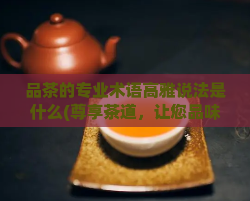 品茶的专业术语高雅说法是什么(尊享茶道,让您品味高雅之韵)