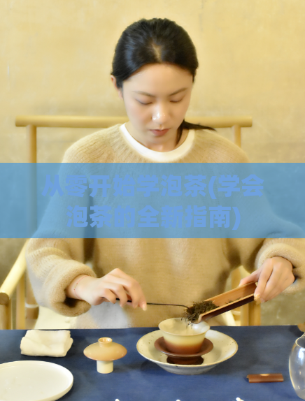 从零开始学泡茶(学会泡茶的全新指南)