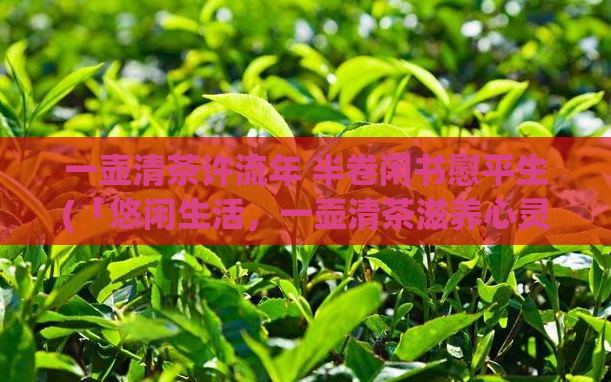 一壶清茶许流年 半卷闲书慰平生(「悠闲生活，一壶清茶滋养心灵」)