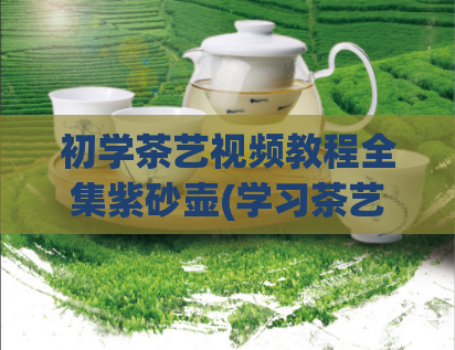 初学茶艺视频教程全集紫砂壶(学习茶艺必备！紫砂壶视频教程完整指南)