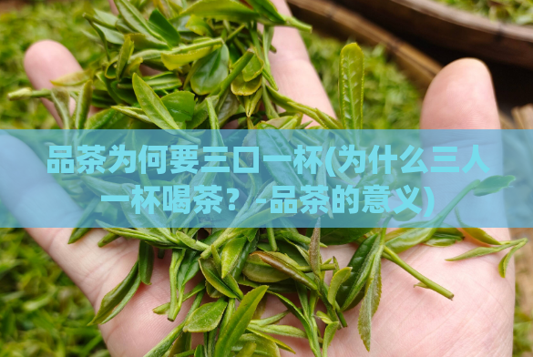 品茶为何要三口一杯(为什么三人一杯喝茶?-品茶的意义)