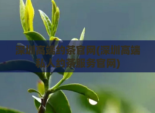 深圳高端约茶官网(深圳高端私人约茶服务官网)