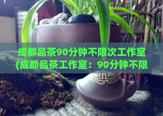 成都品茶90分钟不限次工作室(成都品茶工作室：90分钟不限次，品味不同于众的茶文化)