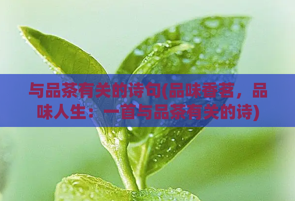 与品茶有关的诗句(品味香茗，品味人生：一首与品茶有关的诗)