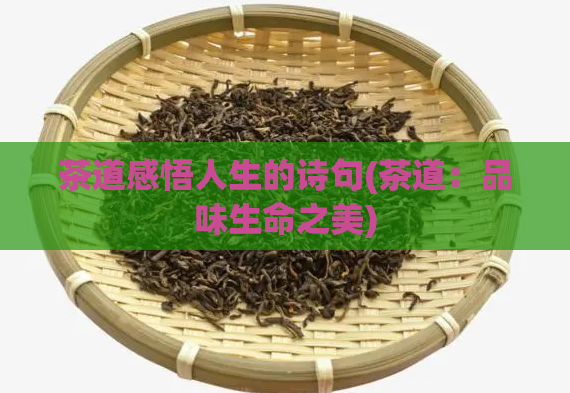 茶道感悟人生的诗句(茶道:品味生命之美)