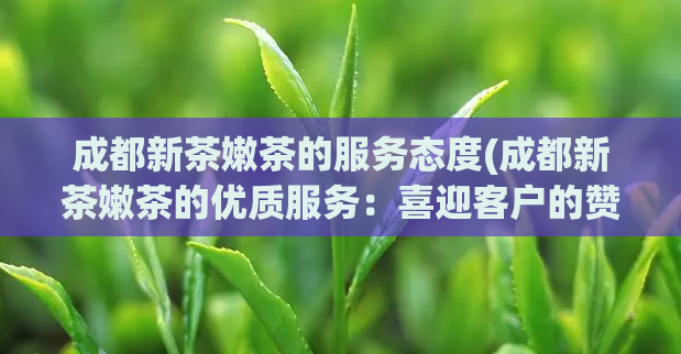 成都新茶嫩茶的服务态度(成都新茶嫩茶的优质服务:喜迎客户的赞许!)