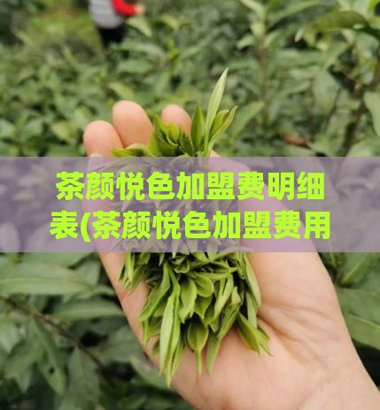 茶颜悦色加盟费明细表(茶颜悦色加盟费用全解析)