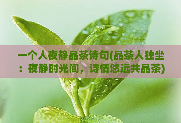 一个人夜静品茶诗句(品茶人独坐：夜静时光间，诗情悠远共品茶)