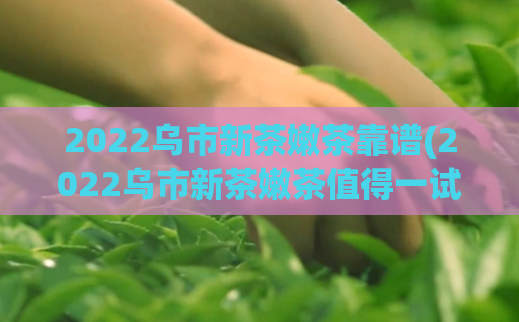 2022乌市新茶嫩茶靠谱(2022乌市新茶嫩茶值得一试的选择)