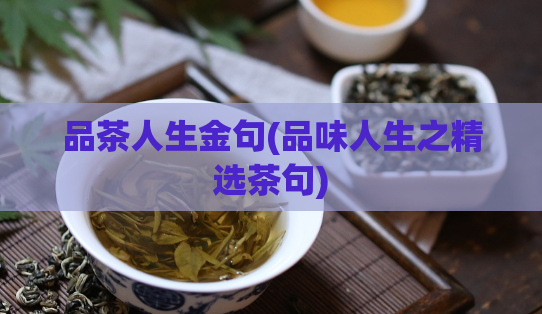 品茶人生金句(品味人生之精选茶句)