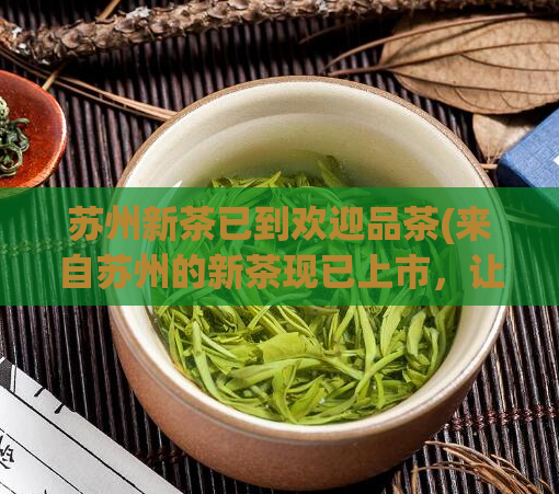 苏州新茶已到欢迎品茶(来自苏州的新茶现已上市，让我们品味芳香的清新茶香)