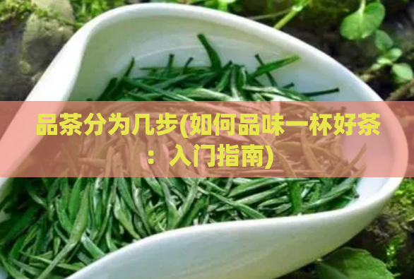 品茶分为几步(如何品味一杯好茶:入门指南)