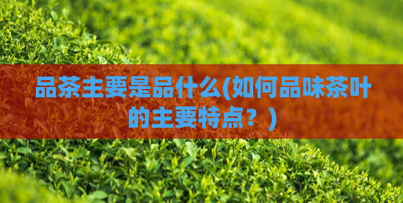 品茶主要是品什么(如何品味茶叶的主要特点？)
