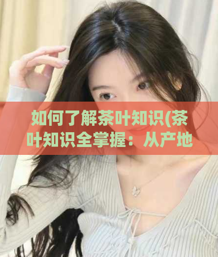 如何了解茶叶知识(茶叶知识全掌握：从产地到品种，一网打尽)