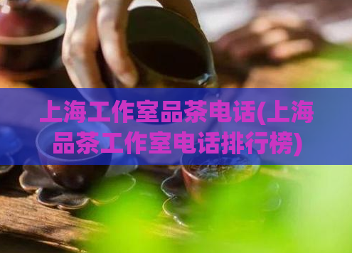 上海工作室品茶电话(上海品茶工作室电话排行榜)