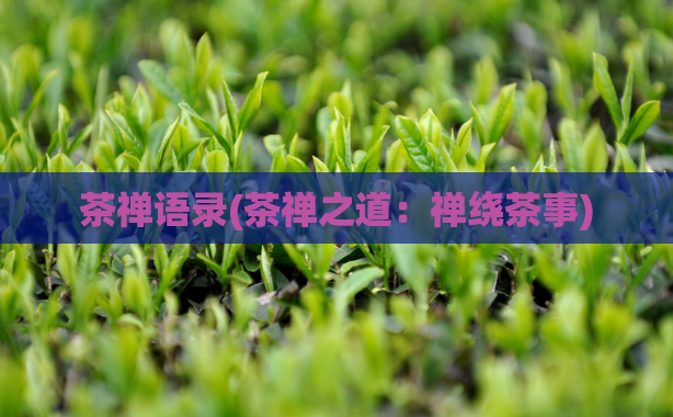 茶禅语录(茶禅之道：禅绕茶事)