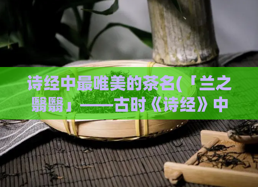 诗经中最唯美的茶名(「兰之翳翳」——古时《诗经》中的茶香。)
