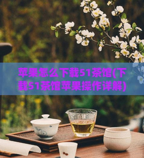 苹果怎么下载51茶馆(下载51茶馆苹果操作详解)