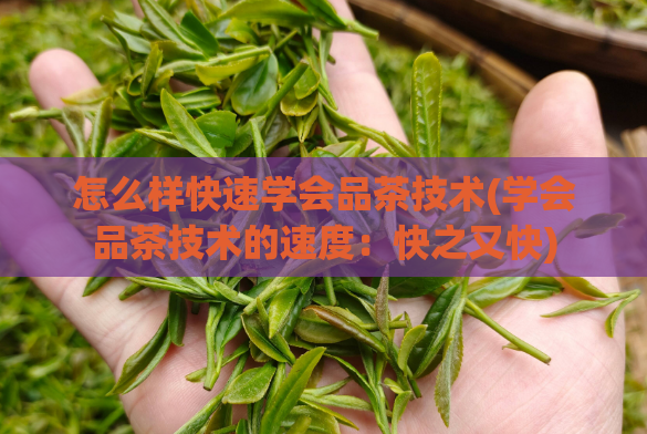 怎么样快速学会品茶技术(学会品茶技术的速度：快之又快)