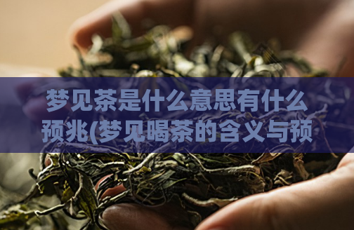 梦见茶是什么意思有什么预兆(梦见喝茶的含义与预兆解析)