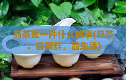 品茶是一件什么的事(品茶：尝新鲜，品生活)