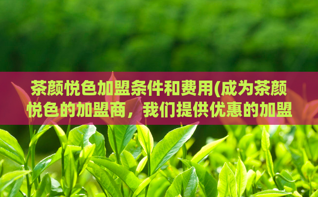 茶颜悦色加盟条件和费用(成为茶颜悦色的加盟商，我们提供优惠的加盟条件和费用！)