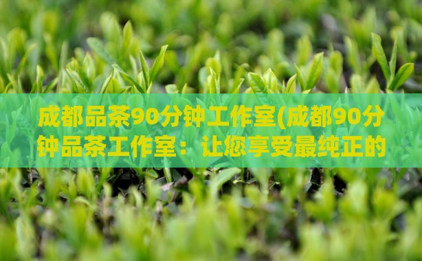 成都品茶90分钟工作室(成都90分钟品茶工作室:让您享受最纯正的品茶文化)