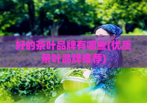 好的茶叶品牌有哪些(优质茶叶品牌推荐)