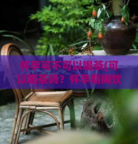 怀孕可不可以喝茶(可以喝茶吗?怀孕期间饮茶问题解答)