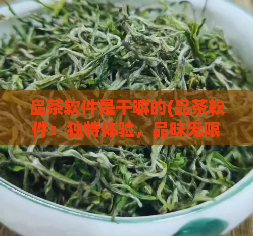 品茶软件是干嘛的(品茶软件：独特体验，品味无限)