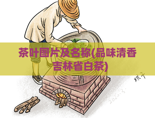 茶叶图片及名称(品味清香 吉林省白茶)