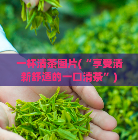 一杯清茶图片(“享受清新舒适的一口清茶”)