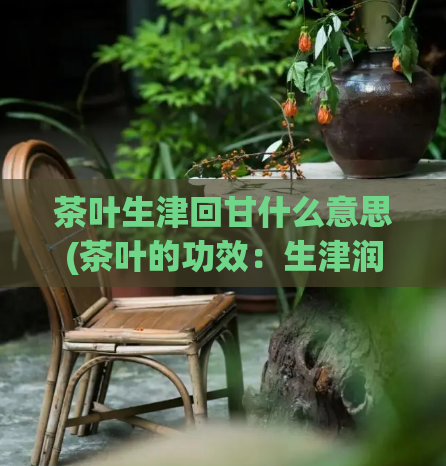 茶叶生津回甘什么意思(茶叶的功效:生津润肺,回甘回香!)