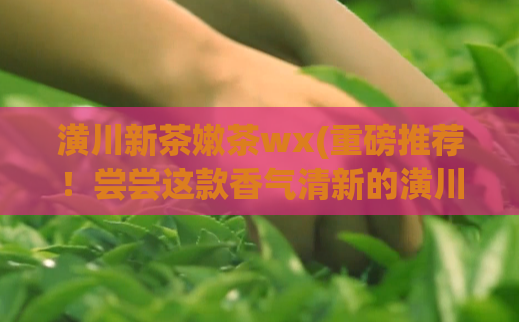 潢川新茶嫩茶wx(重磅推荐！尝尝这款香气清新的潢川新茶嫩茶wx)